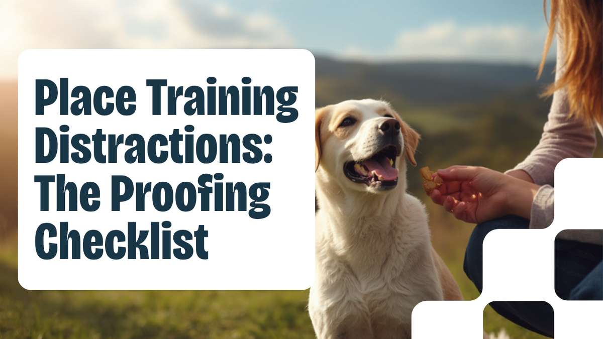 Walkys Dog Training Academy blog: Place Training Distractions: The Proofing Checklist