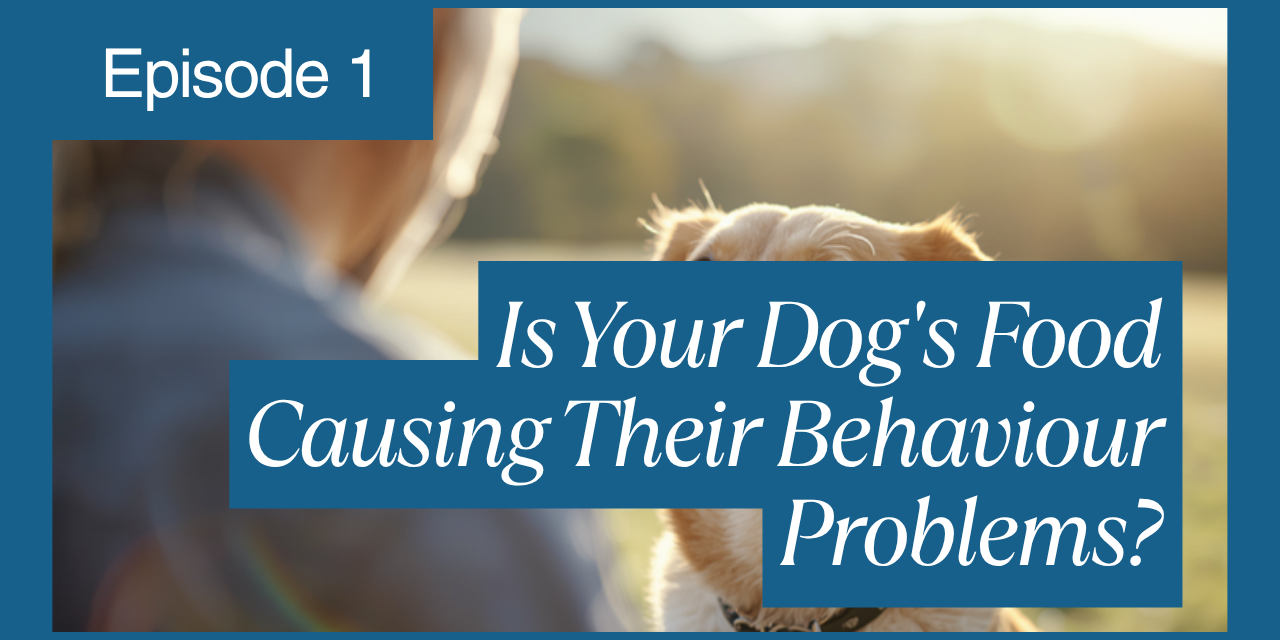 Walkys Dog Training Academy blog: Is Your Dog's Food Causing Their Behaviour Problems?