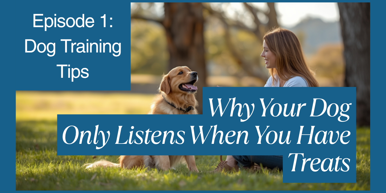 Walkys Dog Training Academy blog: Why Your Dog Only Listens When You Have Treats