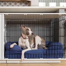 Creating a Safe Haven: The Benefits of Crate Training at Walks Dog Training Academy
