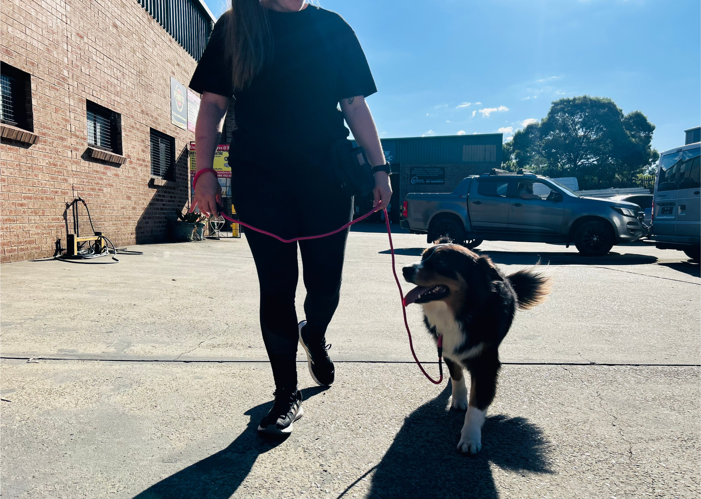 Mastering Loose Leash Walking: A Comprehensive Guide