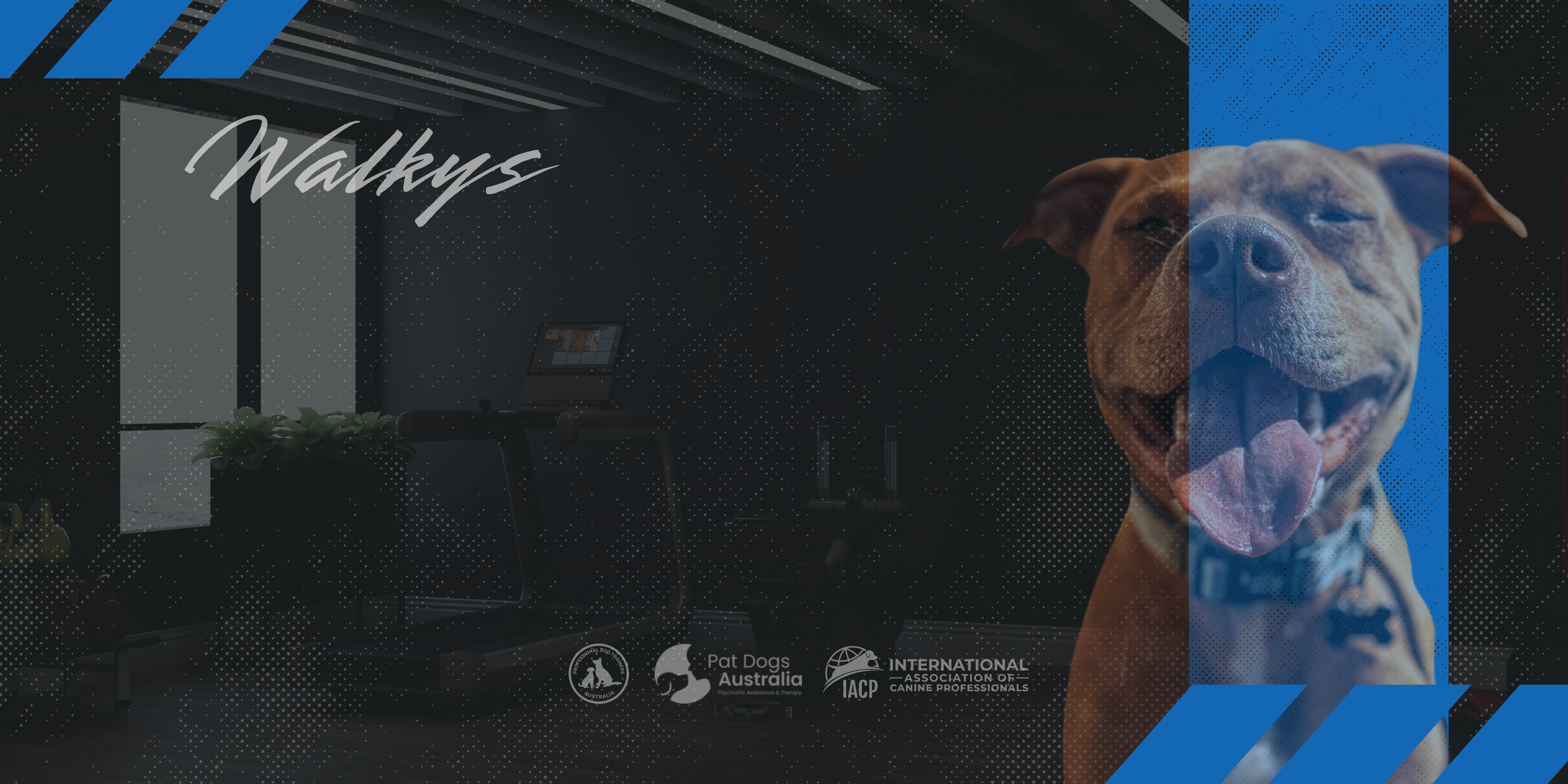 Black orange grunge gym banner landscape 5490b03e ed3f 4673 9261 d81b1a56dca9