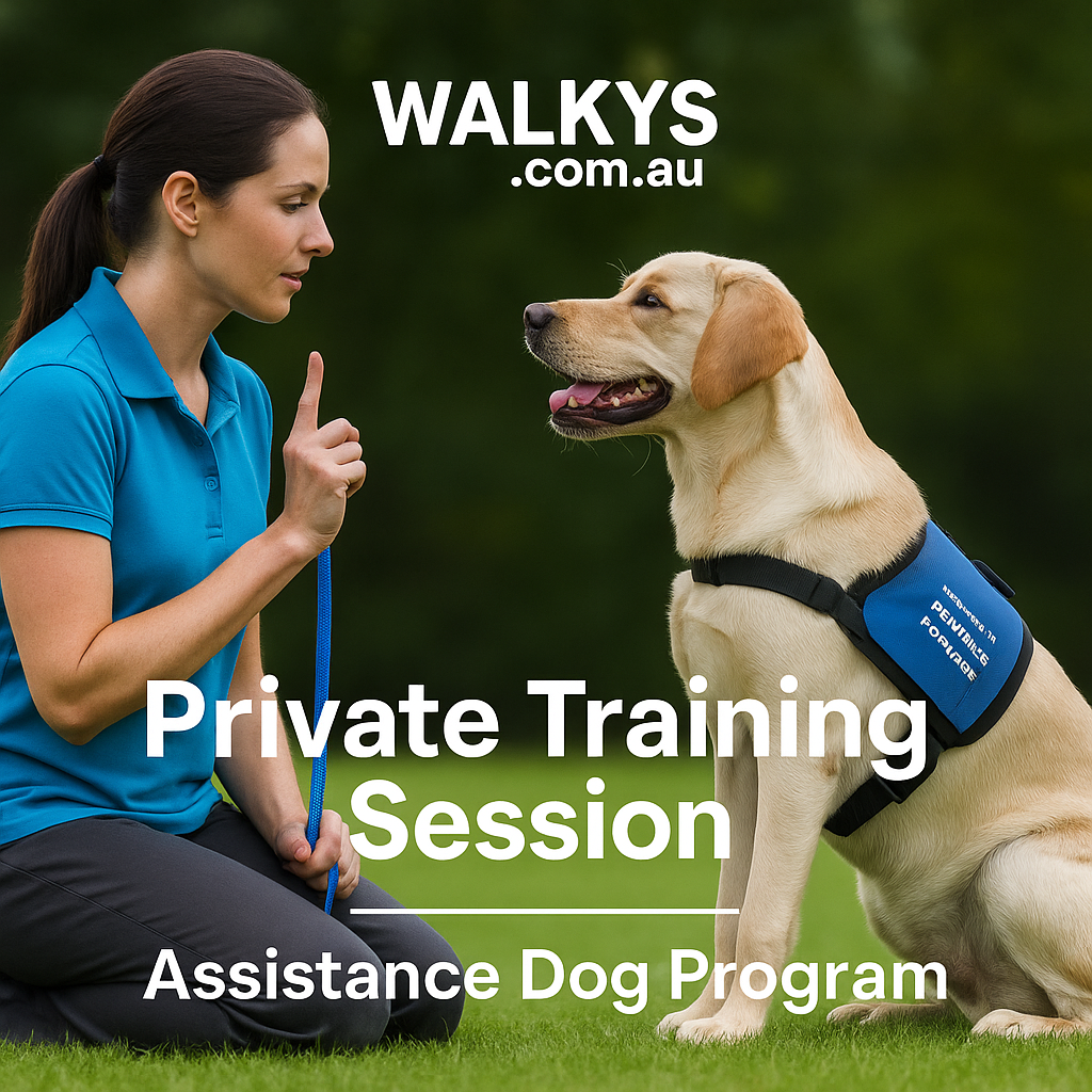 Private Training Session