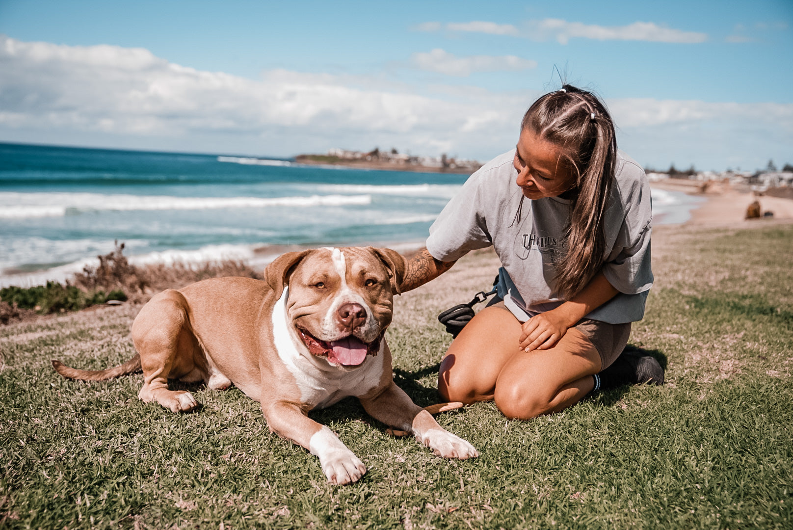 Walkys Dog Training Academy