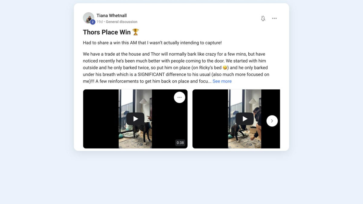 Tiana and Thor: a tradie at the door and barely a bark