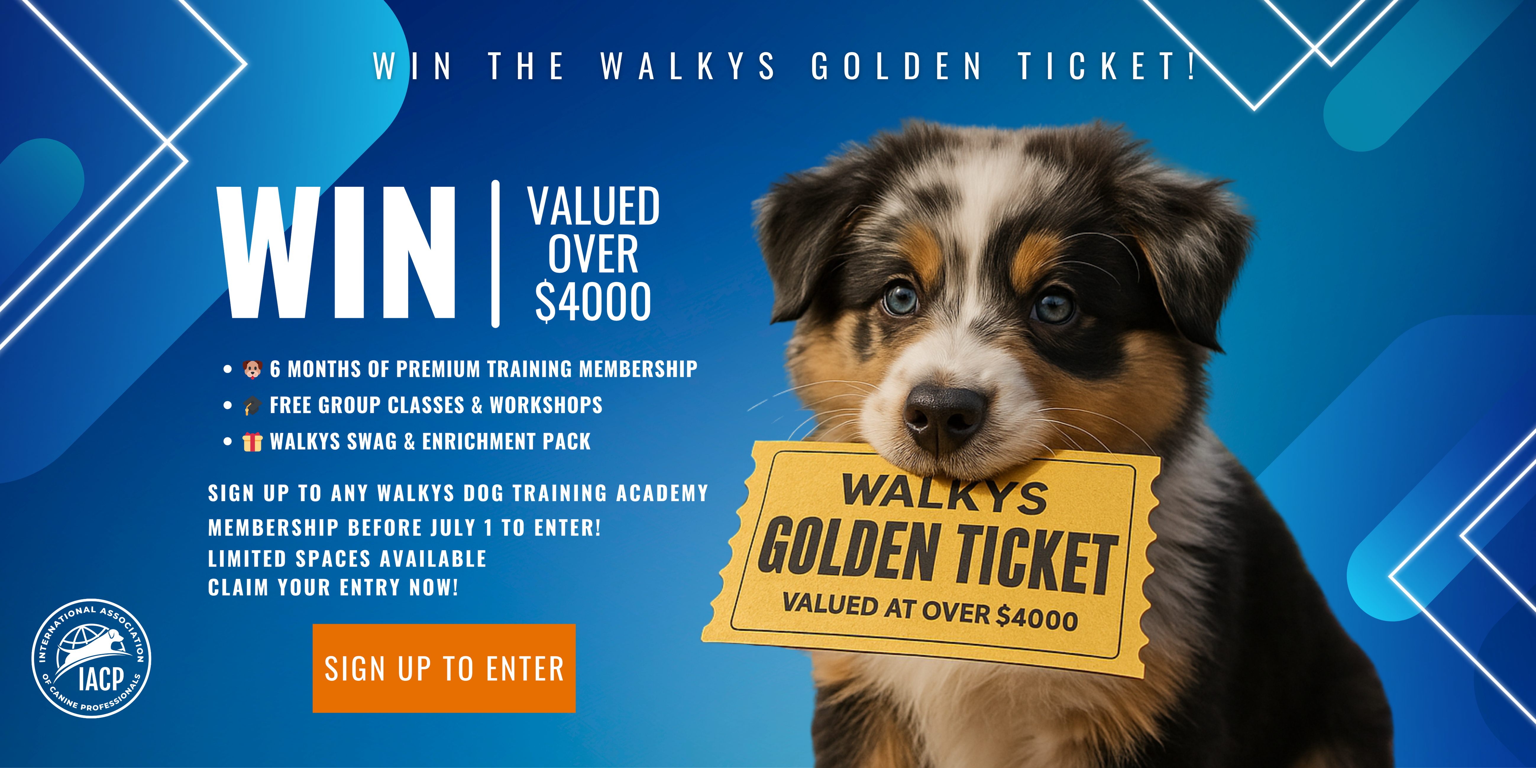Walkys golen ticket banner