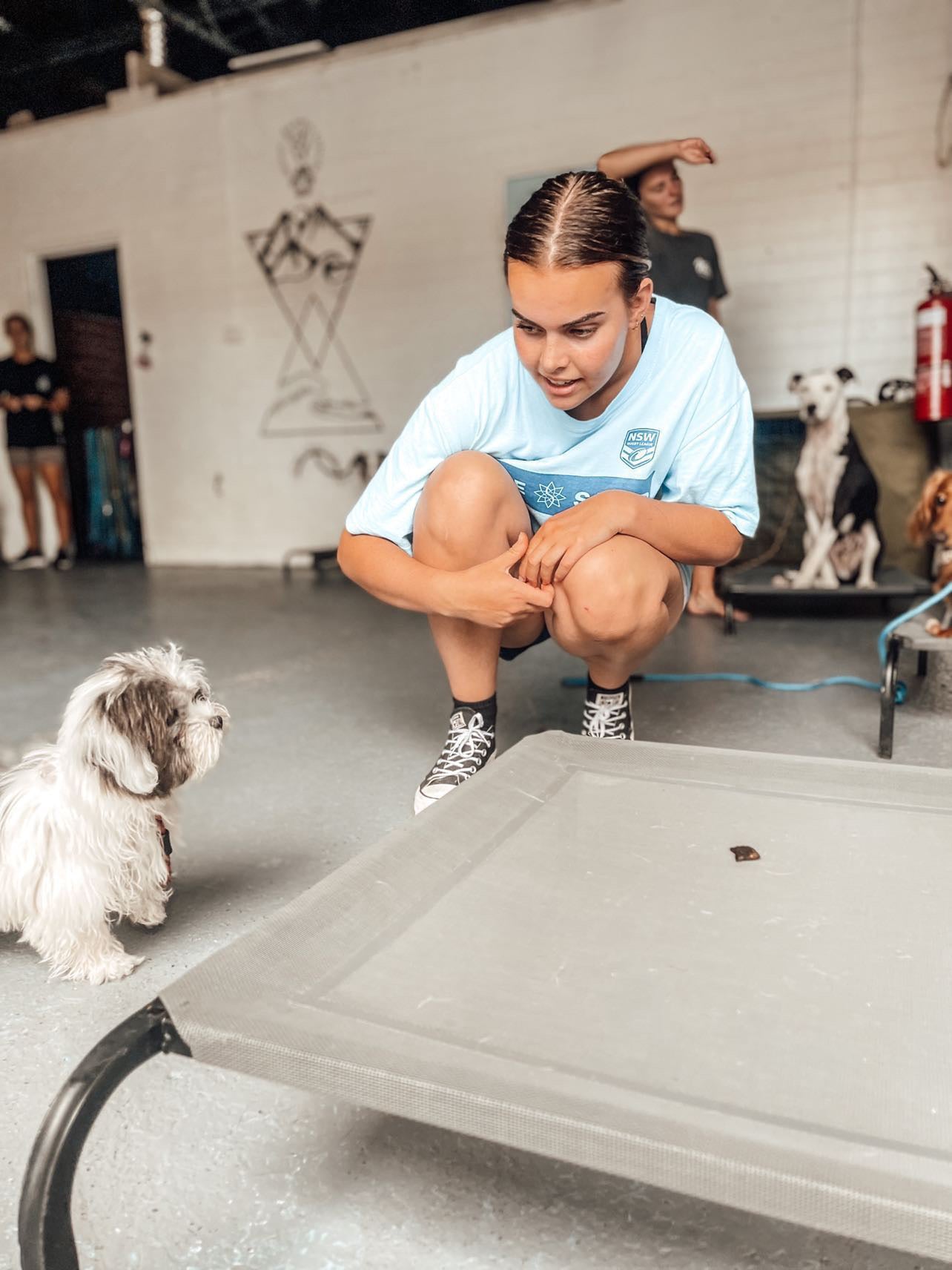Juvenile Dog Training Class