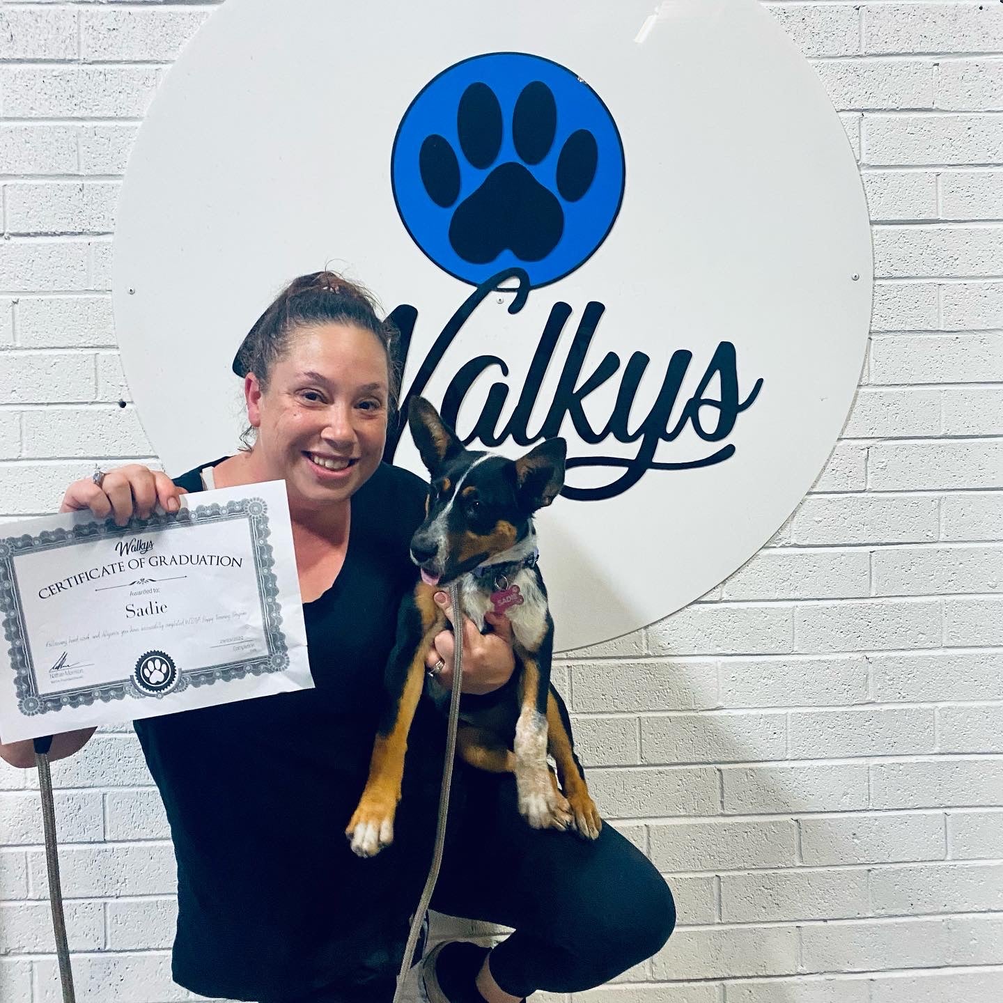 Juvenile Dog Training Class