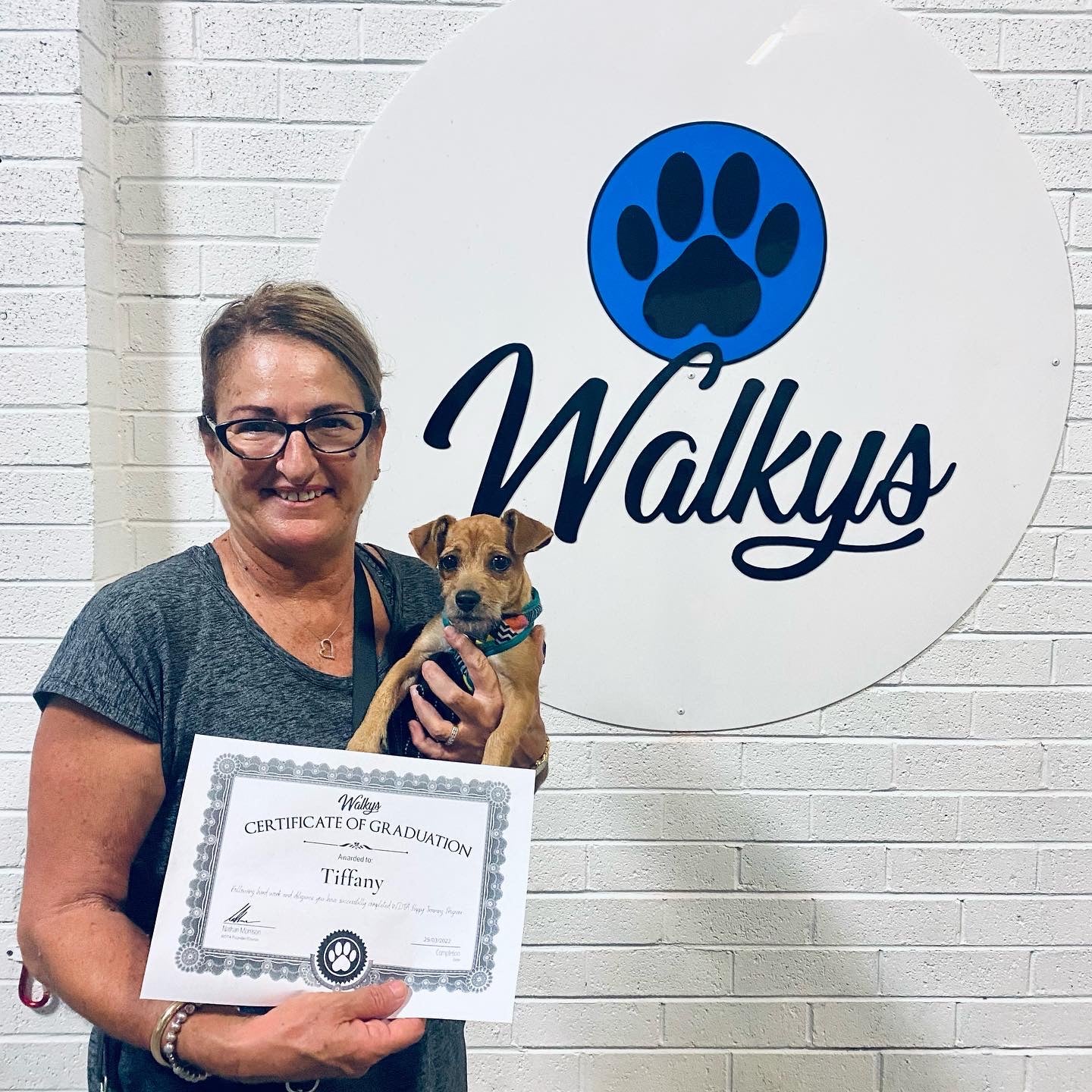 Juvenile Dog Training Class