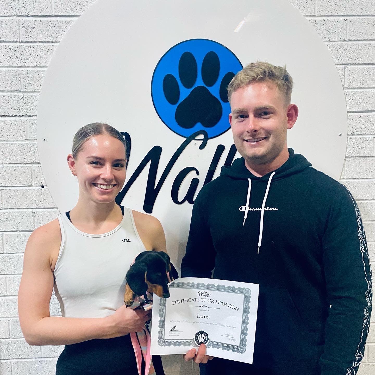 Juvenile Dog Training Class