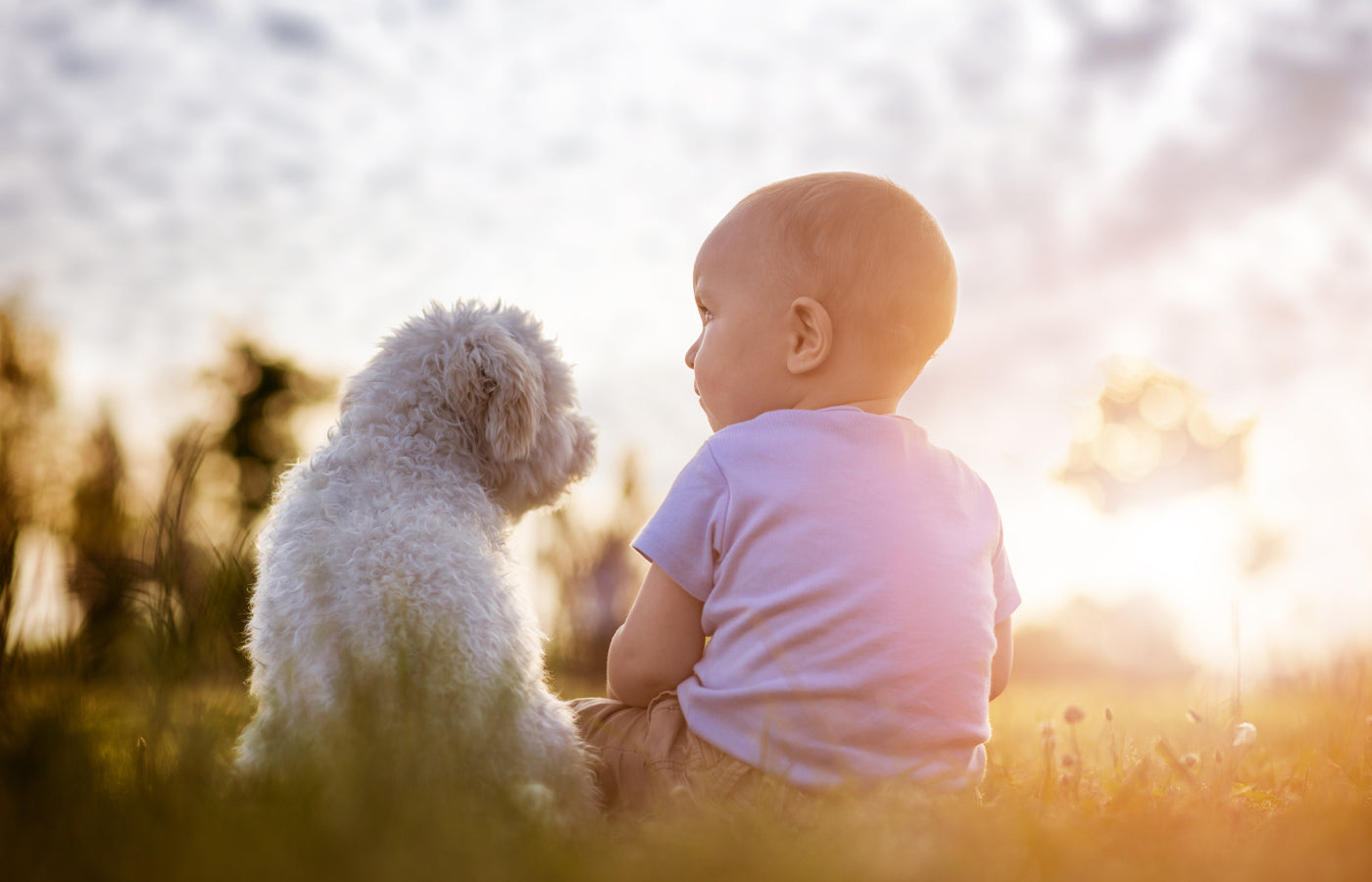 Introducing Dogs and Babies: A Comprehensive Guide | Walkys Dog Training Academy
