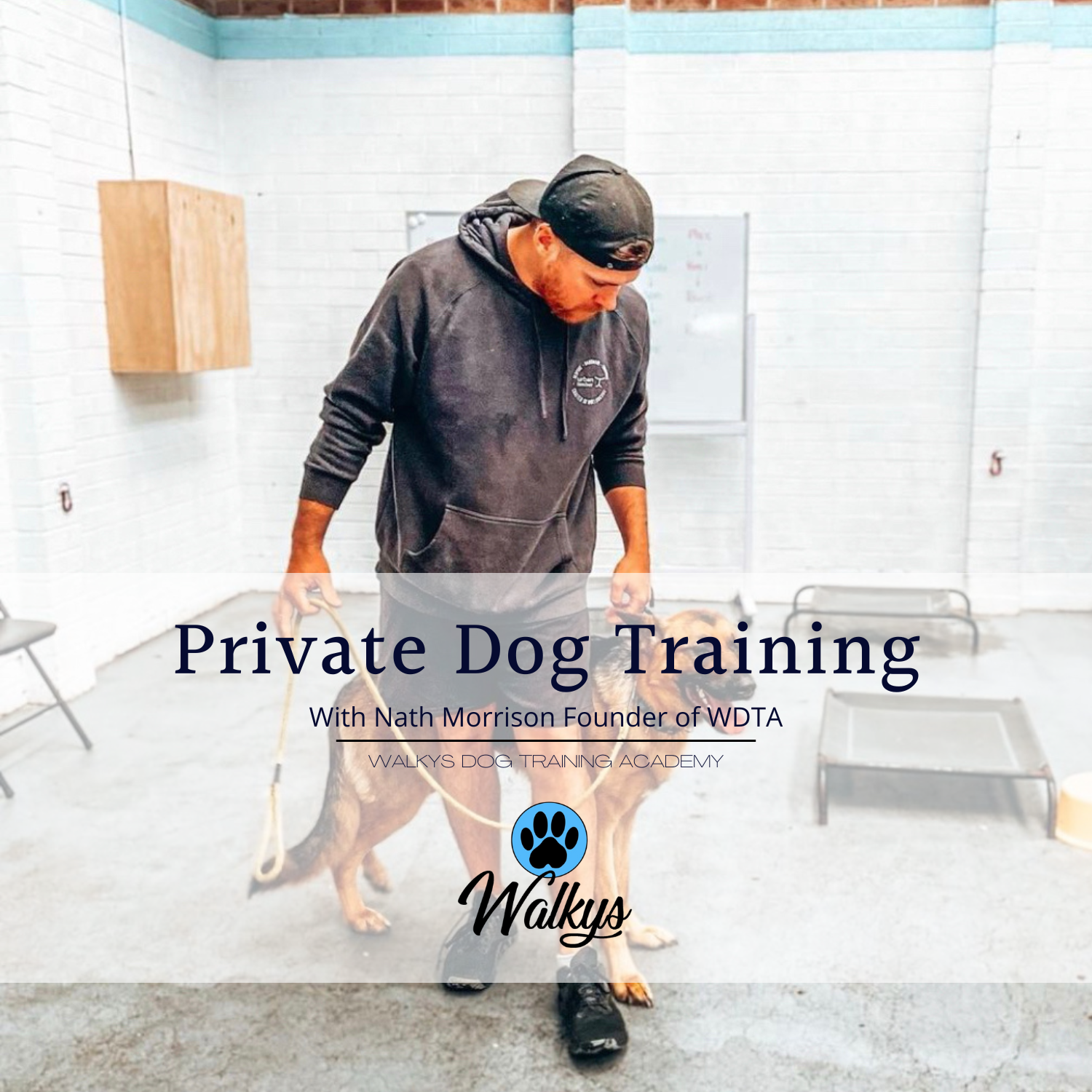 Private Dog Training