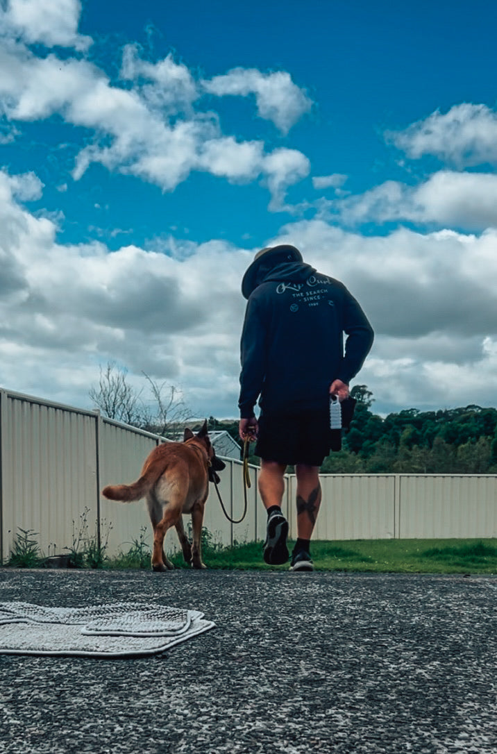 Loose Leash Walking Workshop