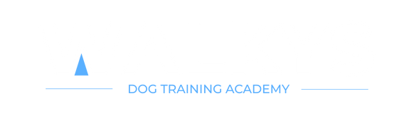 Walkys Dog Training Academy