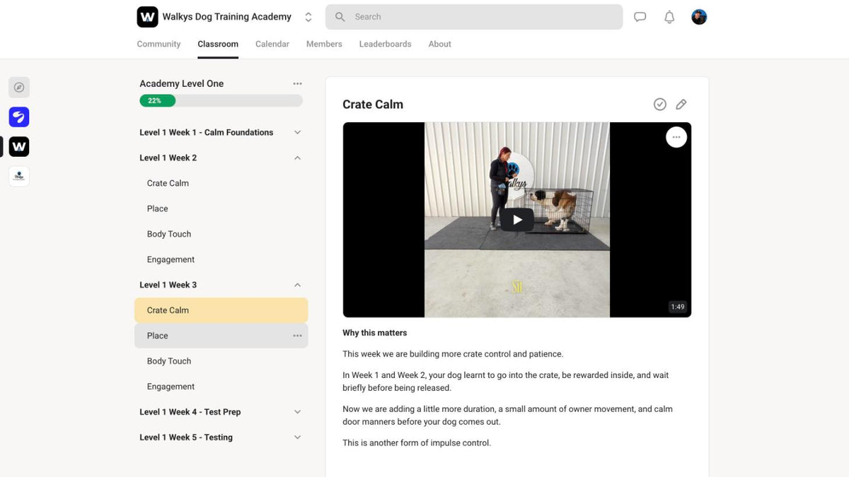 Short, clear video lessons
