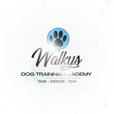 Walkys Dog Training Academy