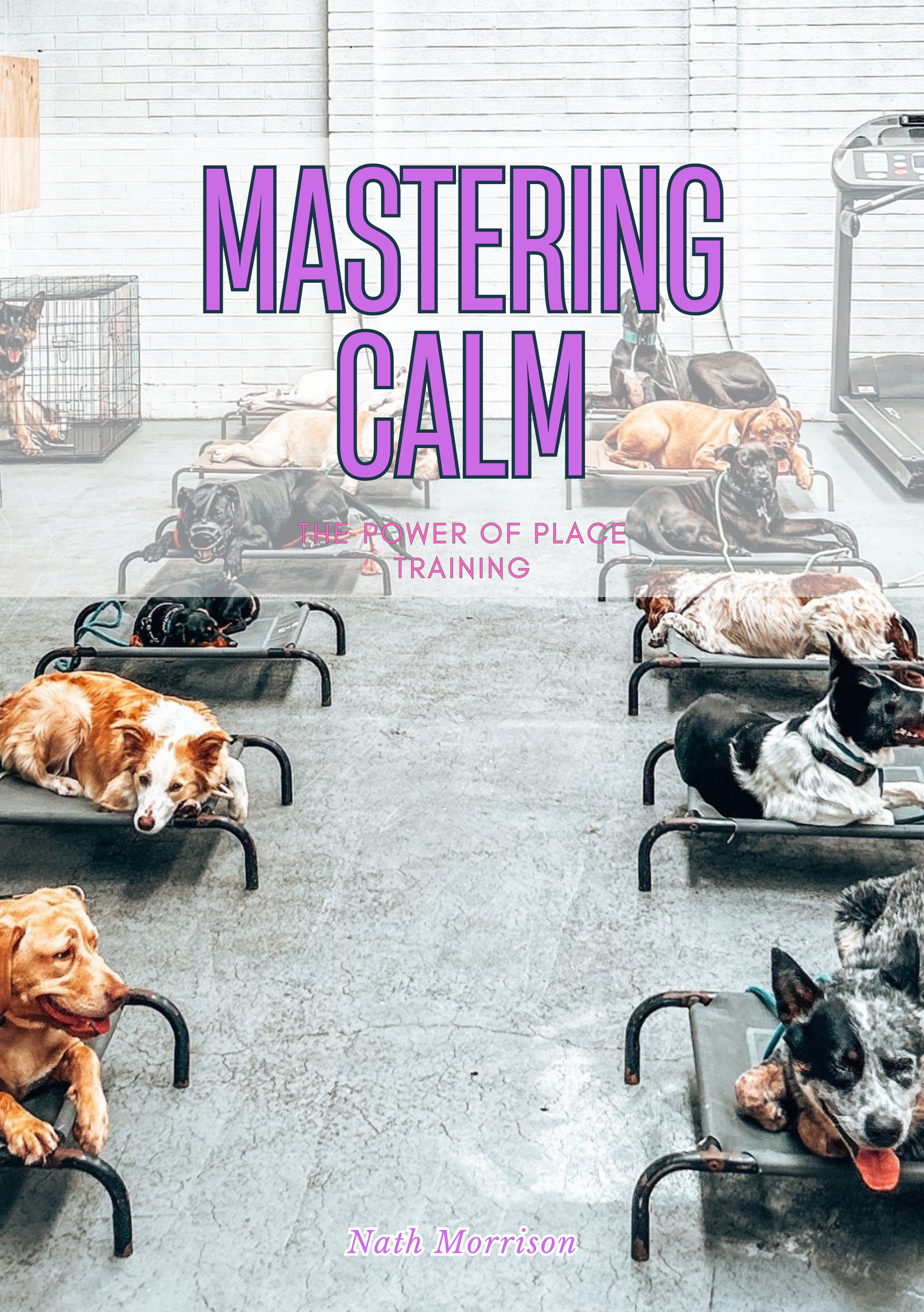 Ebook - Mastering Calm