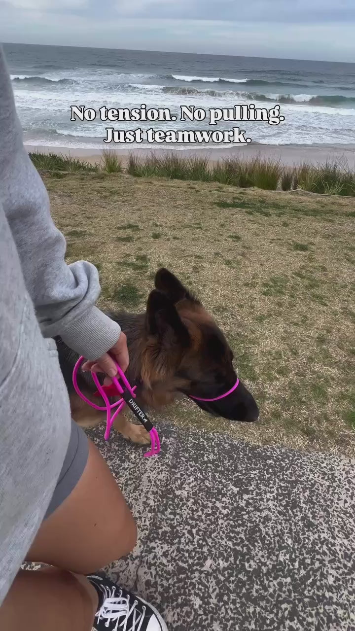 Slip Leash