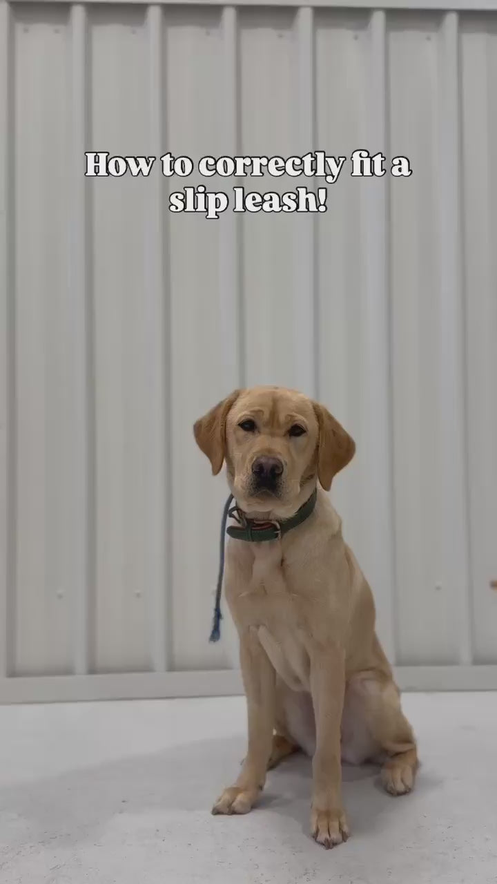Slip Leash