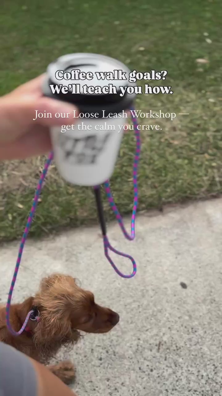 Slip Leash