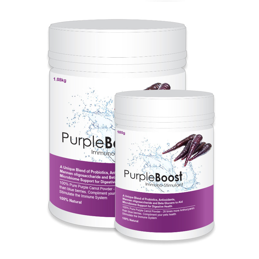 LifeWise Purple Boost Immuno-Stimulant with Probiotics (1)