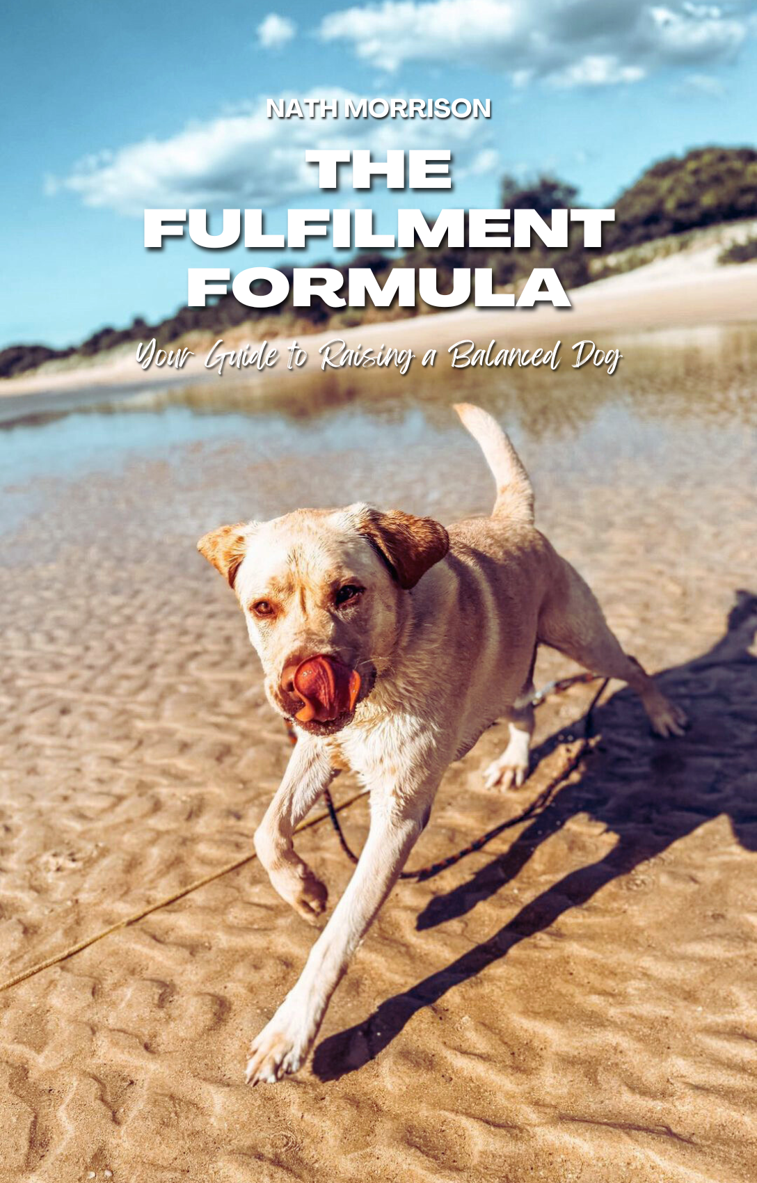 Ebook - The Fulfilment Formula