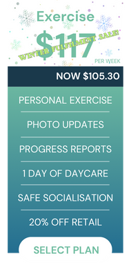 Wfexercise bc5913da f54f 4698 b731 4886d49e81cd
