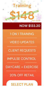 Wftraining ef61ac4f b0ff 4cce b258 53a15247298e